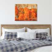 Fine Art Oranje Aspen Autumn Herfst Canvas Art Afd (Insitu (Slaapkamer))