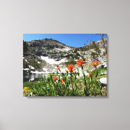 Fine Art Photo, Mountains Lake Wildflower, Nevada Canvas Afdruk