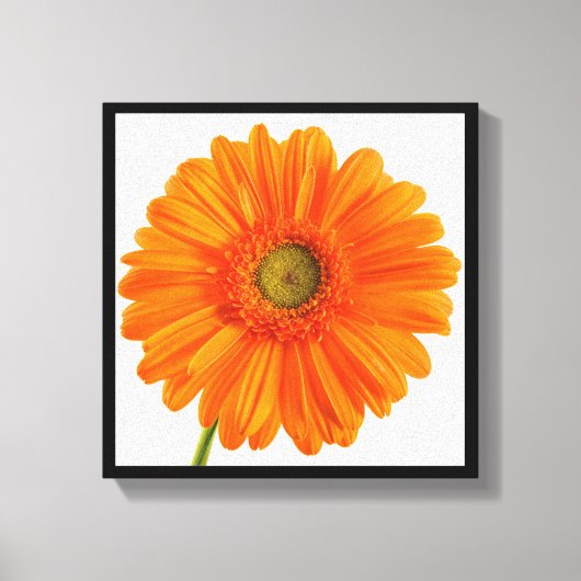 Fine Art Photography Oranje Gerbera Daisy flower Canvas Afdruk (Voorkant)