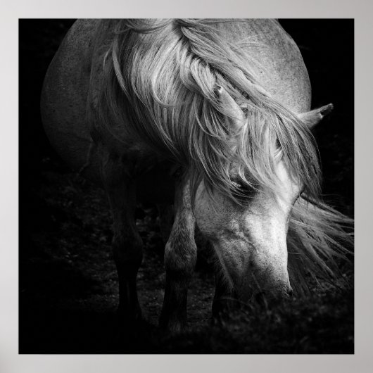 Fine Art Pony Head en Mane print (Voorkant)