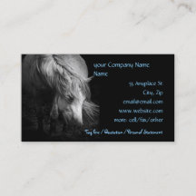 Fine Art Pony Head en Mane