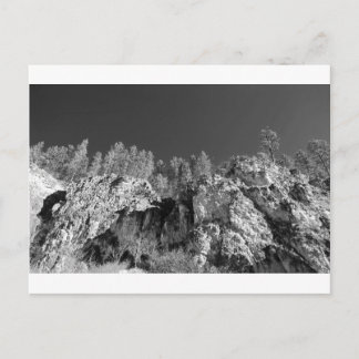 Fine Art Print Spearfish Canyon, Black Hills, SD Briefkaart
