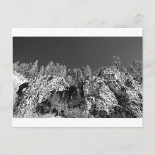 Fine Art Print Spearfish Canyon, Black Hills, SD Briefkaart (Voorkant)