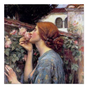 Fine Art The Soul of the Roos Poster