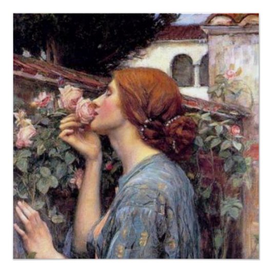 Fine Art The Soul of the Roos Poster (Voorkant)