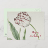  Fine Art, Witte en Rode Tulp Verjaardag Briefkaart (Voorkant / Achterkant)