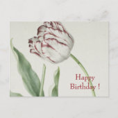  Fine Art, Witte en Rode Tulp Verjaardag Briefkaart (Voorkant)