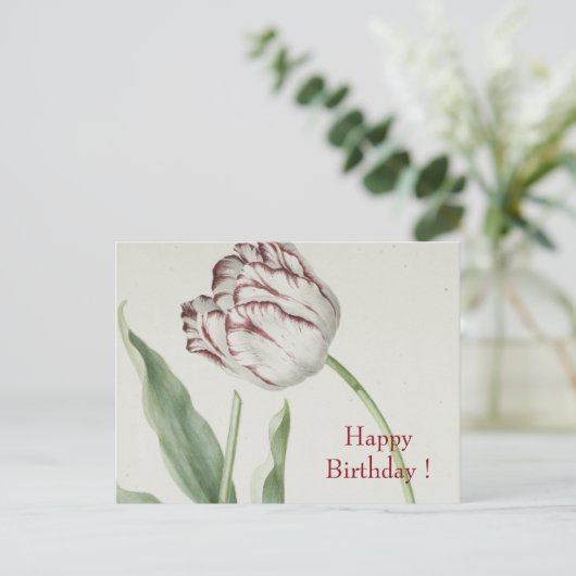  Fine Art, Witte en Rode Tulp Verjaardag Briefkaart (Staand voorkant)