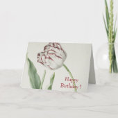Fine Art, Witte en Rode Tulp Verjaardag Kaart (Voorkant)