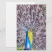 Fine Feather Peacock Mating Plumage Briefpapier (Voorkant / Achterkant)