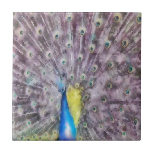 Fine Feather Peacock Mating Plumage Tegeltje (Voorkant)