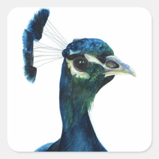 Fine Feathers Vierkante Sticker (Voorkant)