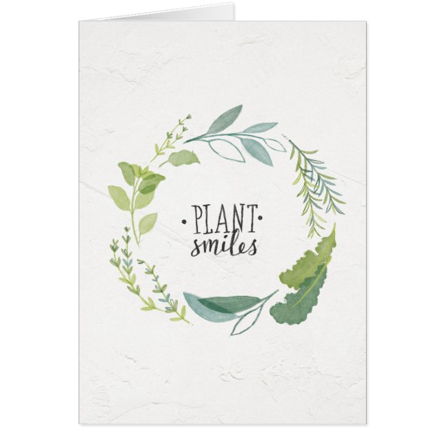 Fine Herbs II | Plant glimlachen (Voorkant)