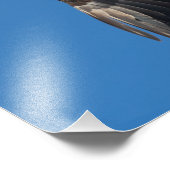 Fine Lady Foto Afdruk (Hoek)