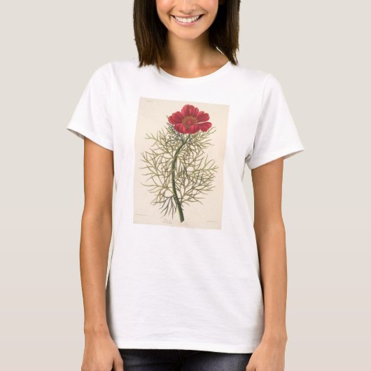 Fine Leaved Paeony T-shirt (Voorkant)