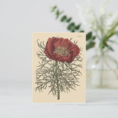 Fine Leaved Peony Botanische Illustratie Briefkaart (Staand voorkant)