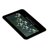 Finesse: Inspirerend prijsopgave Magneet (Rechterzijde)