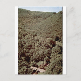 Fingle Bridge Vintage Bebost Dal Portret Briefkaart