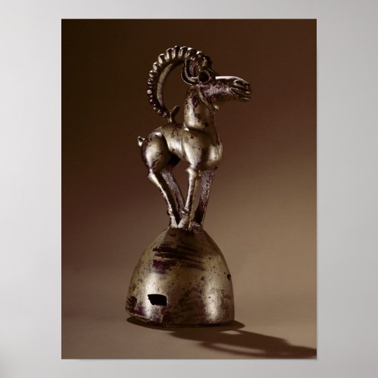 Finiaal met een berggeit poster (Voorkant)