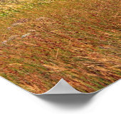 Finlaggan, Schotland Poster (Hoek)