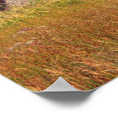 Finlaggan, Schotland Poster (Hoek)