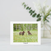 Finland beer natuur briefkaart (Staand voorkant)