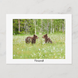 Finland beer natuur briefkaart