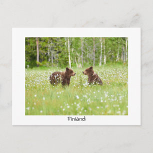 Finland beer natuur briefkaart