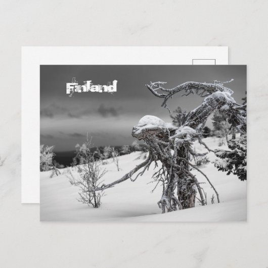 Finland briefkaart toerisme (Voorkant / Achterkant)
