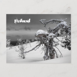 Finland briefkaart toerisme