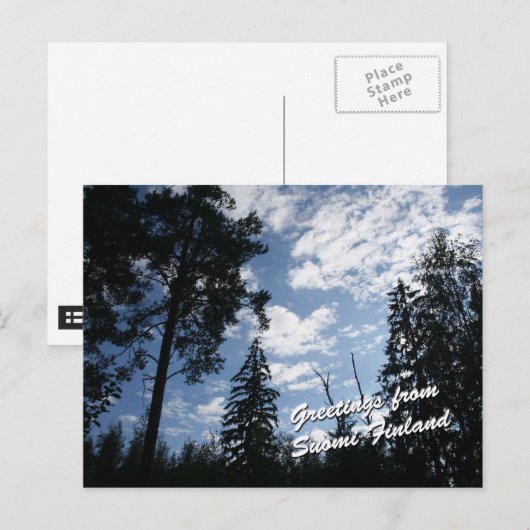 Finland Forest Briefkaart (Voorkant / Achterkant)