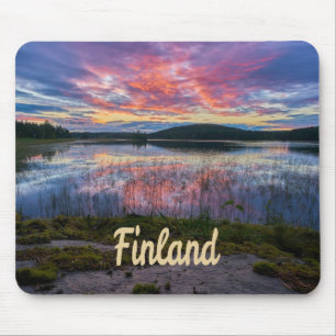 Finland Helsinki Noord-Europa Muismat