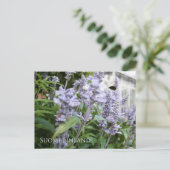 Finland in Flowers, 6e in een serie Briefkaart (Staand voorkant)