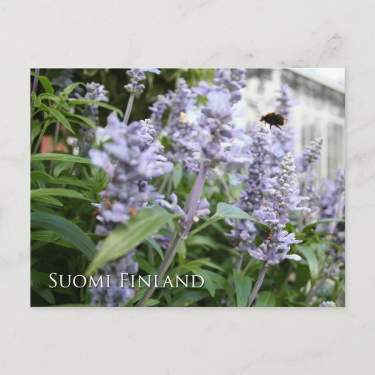 Finland in Flowers, 6e in een serie Briefkaart (Voorkant)