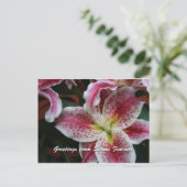 Finland in Flowers, 7e in een serie Briefkaart (Staand voorkant)