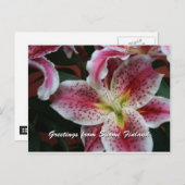 Finland in Flowers, 7e in een serie Briefkaart (Voorkant / Achterkant)