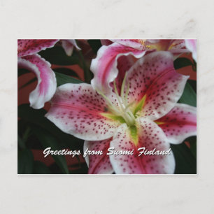 Finland in Flowers, 7e in een serie Briefkaart