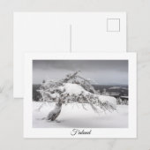 Finland wintersouvenir briefkaart (Voorkant / Achterkant)