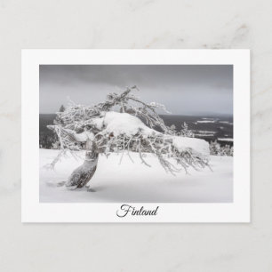 Finland wintersouvenir briefkaart