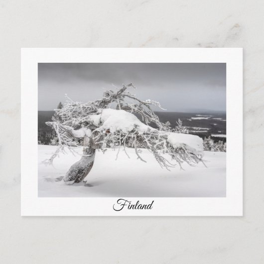 Finland wintersouvenir briefkaart (Voorkant)
