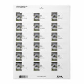 Finley Dam Waterfall Etiket (Full Sheet)