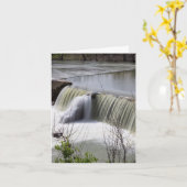 Finley Dam Waterfall Wenskaart Kaart (Gele Bloem)