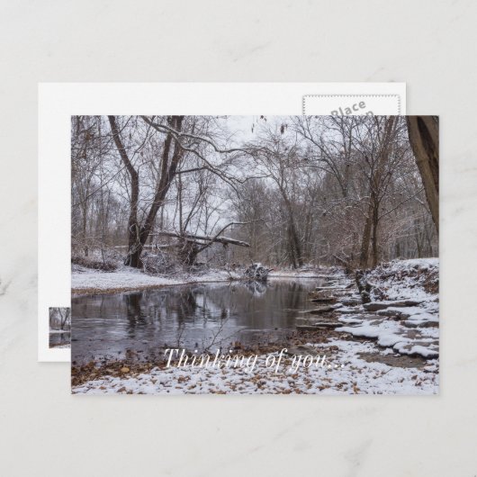 Finley Winter Snow denking you Briefkaart (Voorkant / Achterkant)