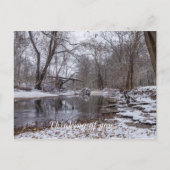 Finley Winter Snow denking you Briefkaart (Voorkant)