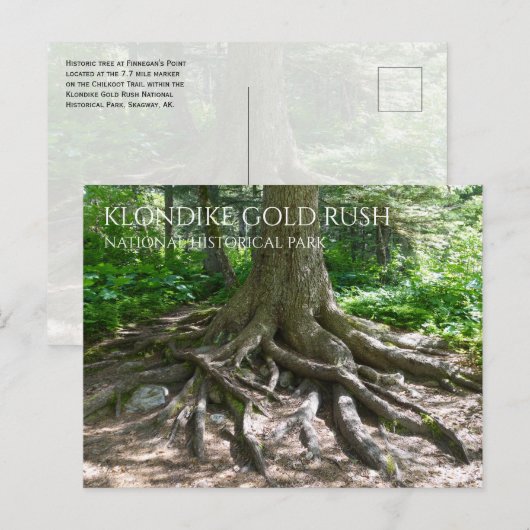 Finnegan's Point, Chilkoot Trail, Gold Rush NHP Briefkaart (Voorkant / Achterkant)