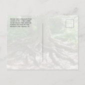 Finnegan's Point, Chilkoot Trail, Gold Rush NHP Briefkaart (Achterkant)