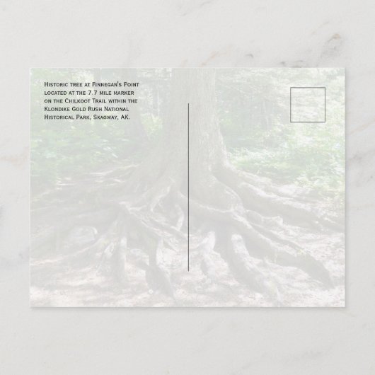 Finnegan's Point, Chilkoot Trail, Gold Rush NHP Briefkaart (Achterkant)