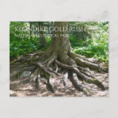 Finnegan's Point, Chilkoot Trail, Gold Rush NHP Briefkaart (Voorkant)