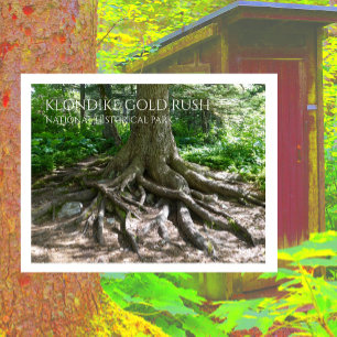 Finnegan's Point, Chilkoot Trail, Gold Rush NHP Briefkaart