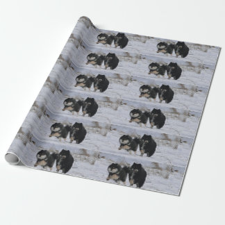 Finnish Lapphunds Cadeaupapier